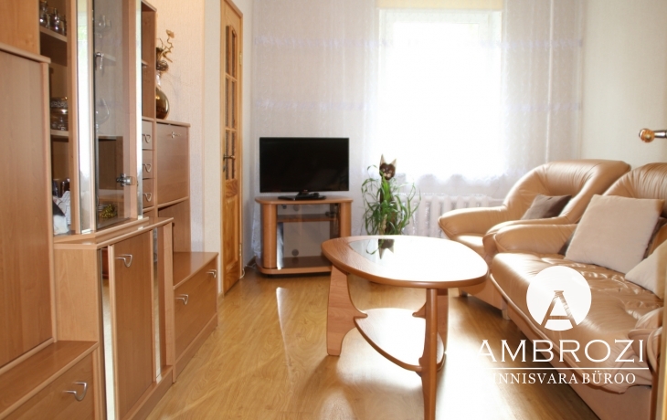 Excellent offer! Fully renovated 2-room apartment with garage, Jaaniku 61