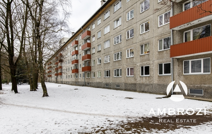 Near the Mustamäe shopping center, clean and tidy 2-room apartment, Tammsaare tee 107!
