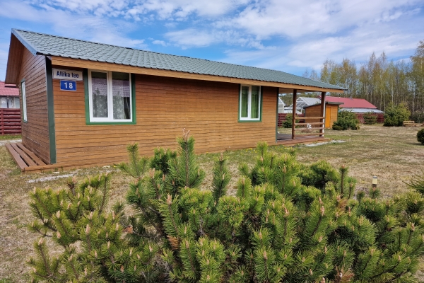 Enjoy summer! Superb cottage with a sauna on Lake Peipus, Remniku küla, Allika tee 18