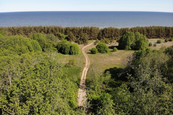 Участки у самого синего моря. Волость Люганузе, деревня Ябара.